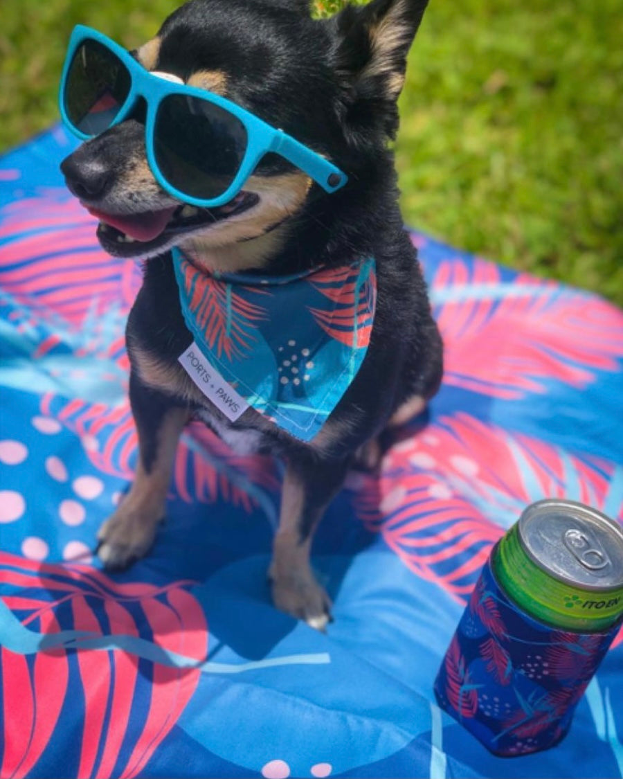 QUICK DRY BANDANA - PORTER