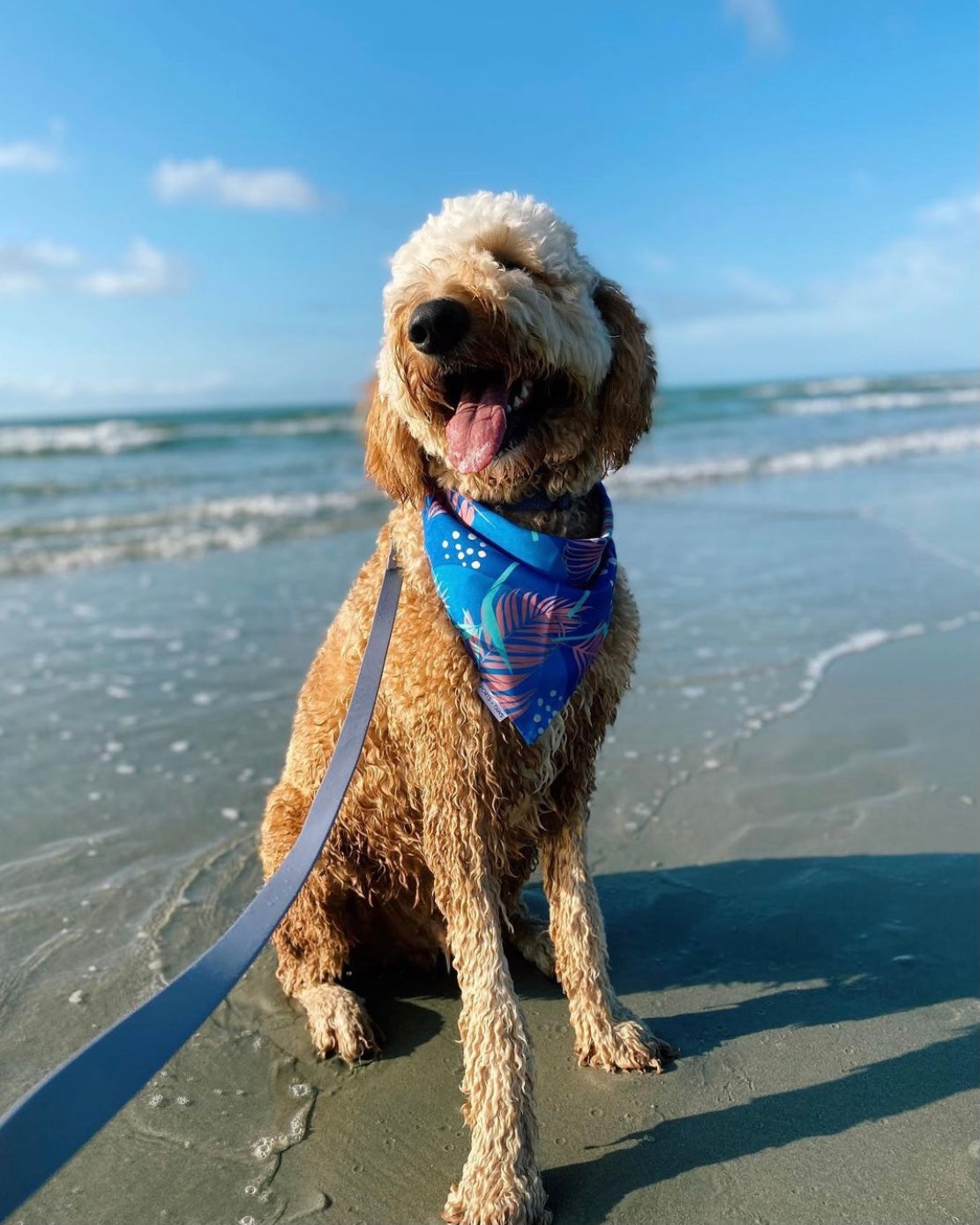 QUICK DRY BANDANA - PORTER