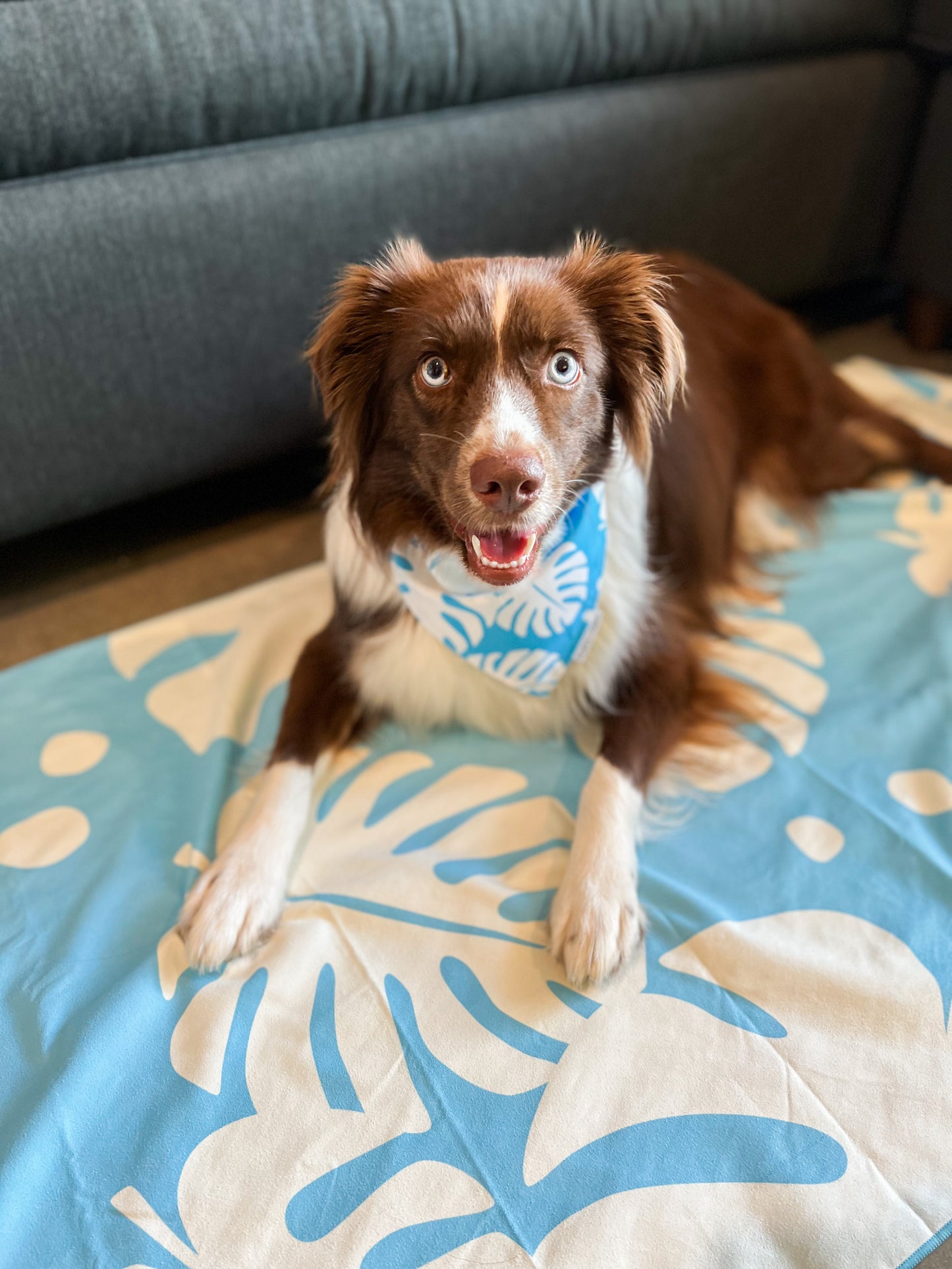 QUICK DRY BANDANA - MONSTERA SKY