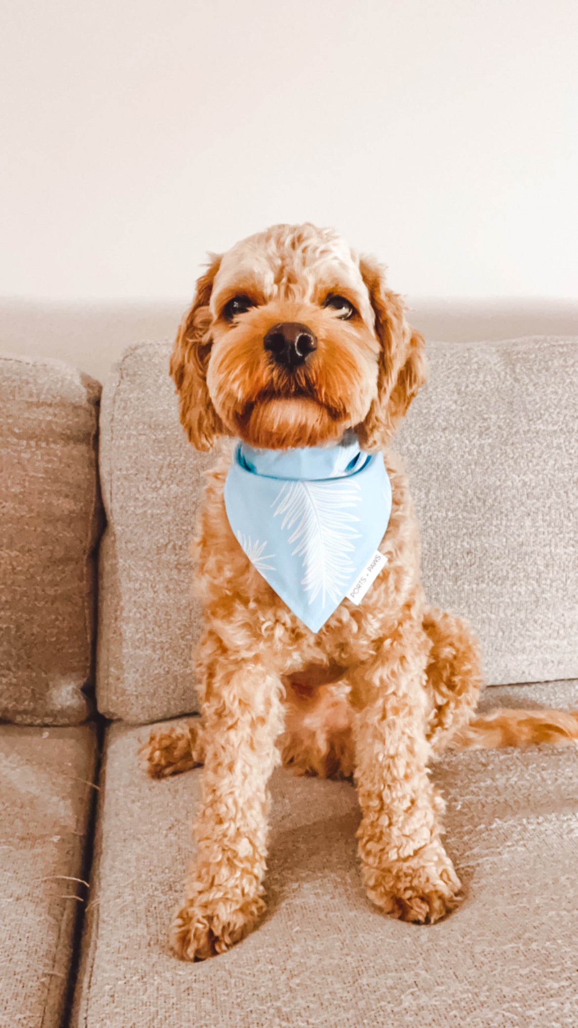 QUICK DRY BANDANA - CLOUD BLUE PALM