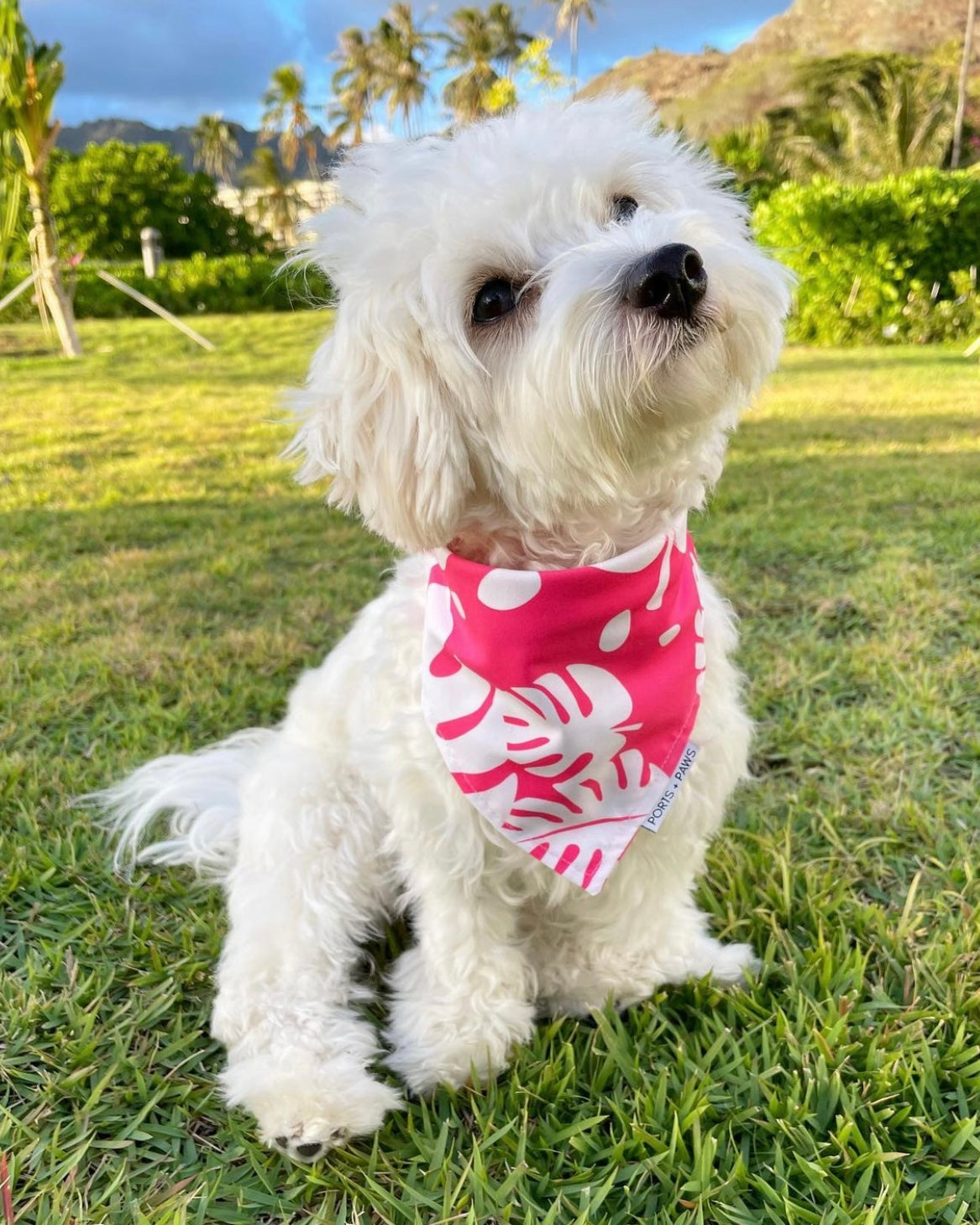 QUICK DRY BANDANA - MONSTERA PINK