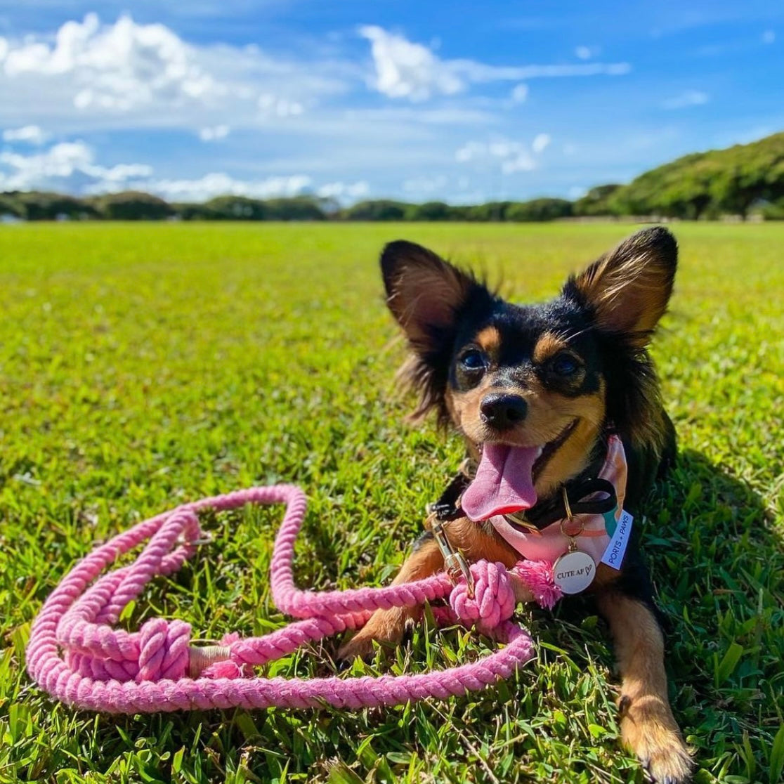 CUTE AF DOG CHARM/KEYCHAIN