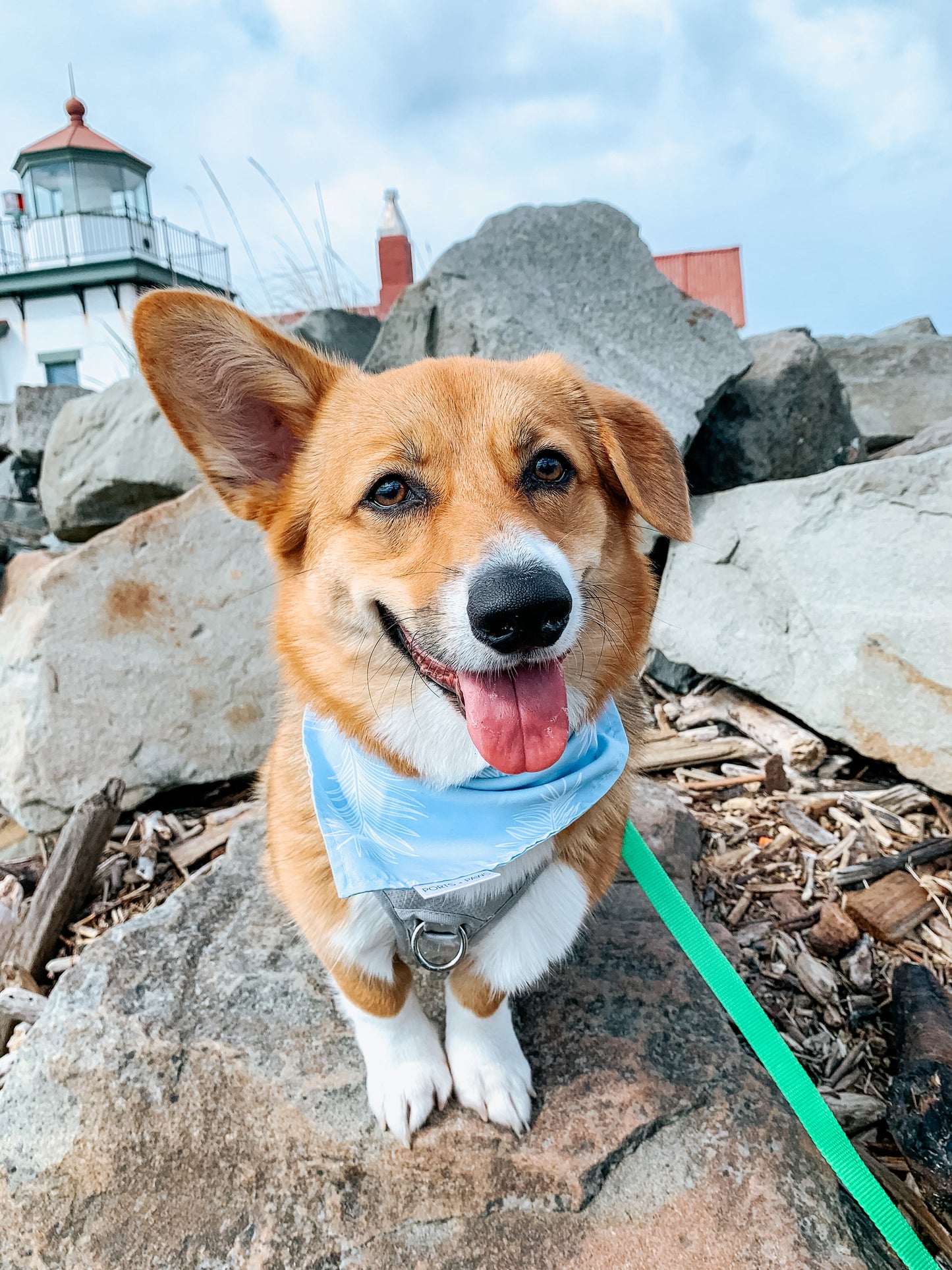 QUICK DRY BANDANA - CLOUD BLUE PALM