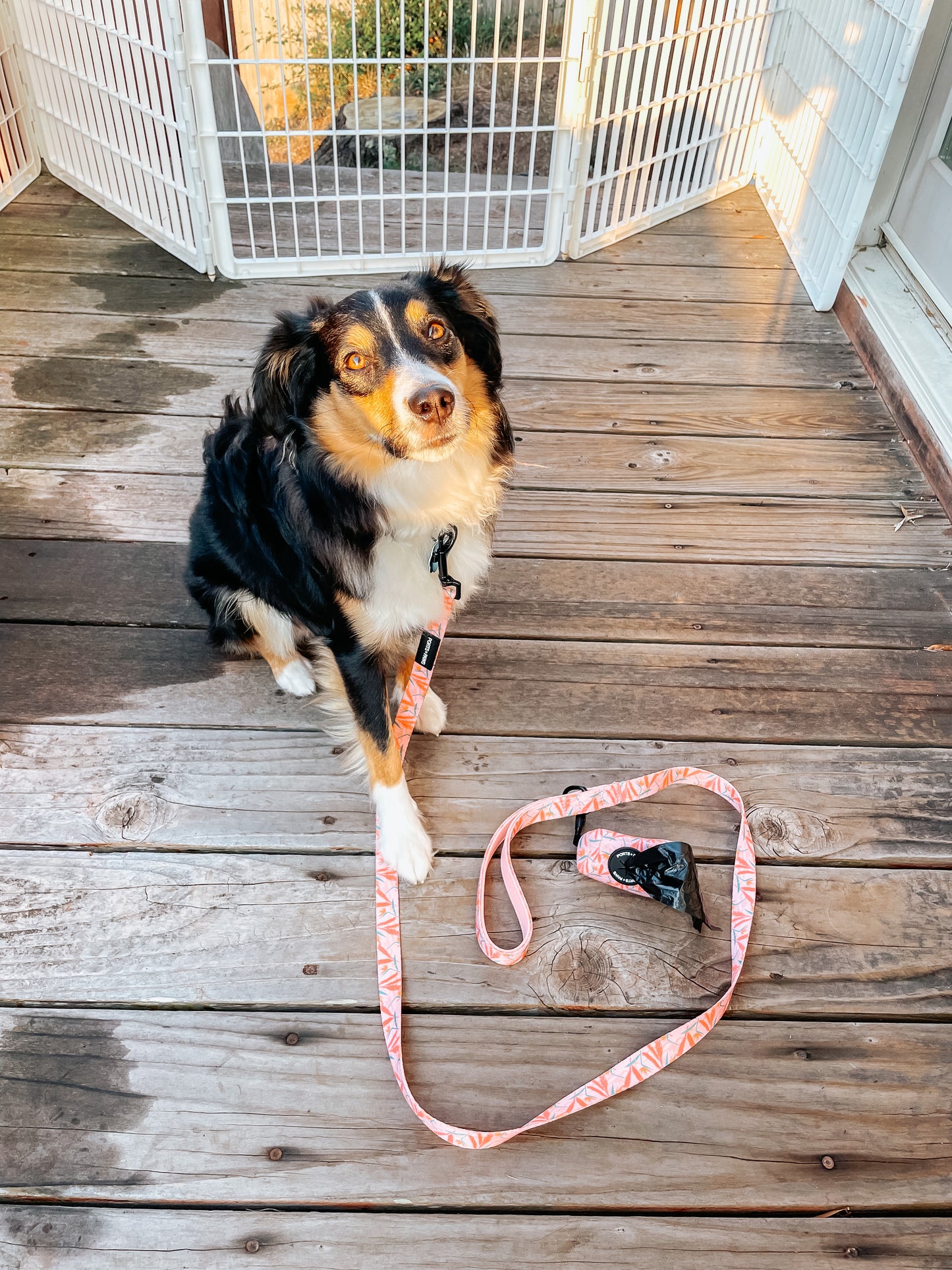 POOP BAG HOLDER - PAIKO