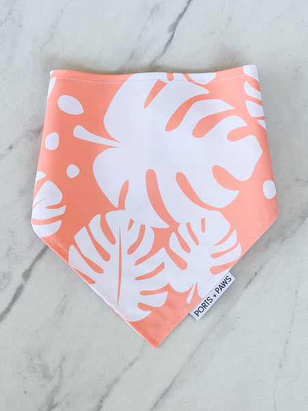 QUICK DRY BANDANA - MONSTERA PAPAYA