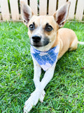 QUICK DRY BANDANA - ANTHURIUM BLUE