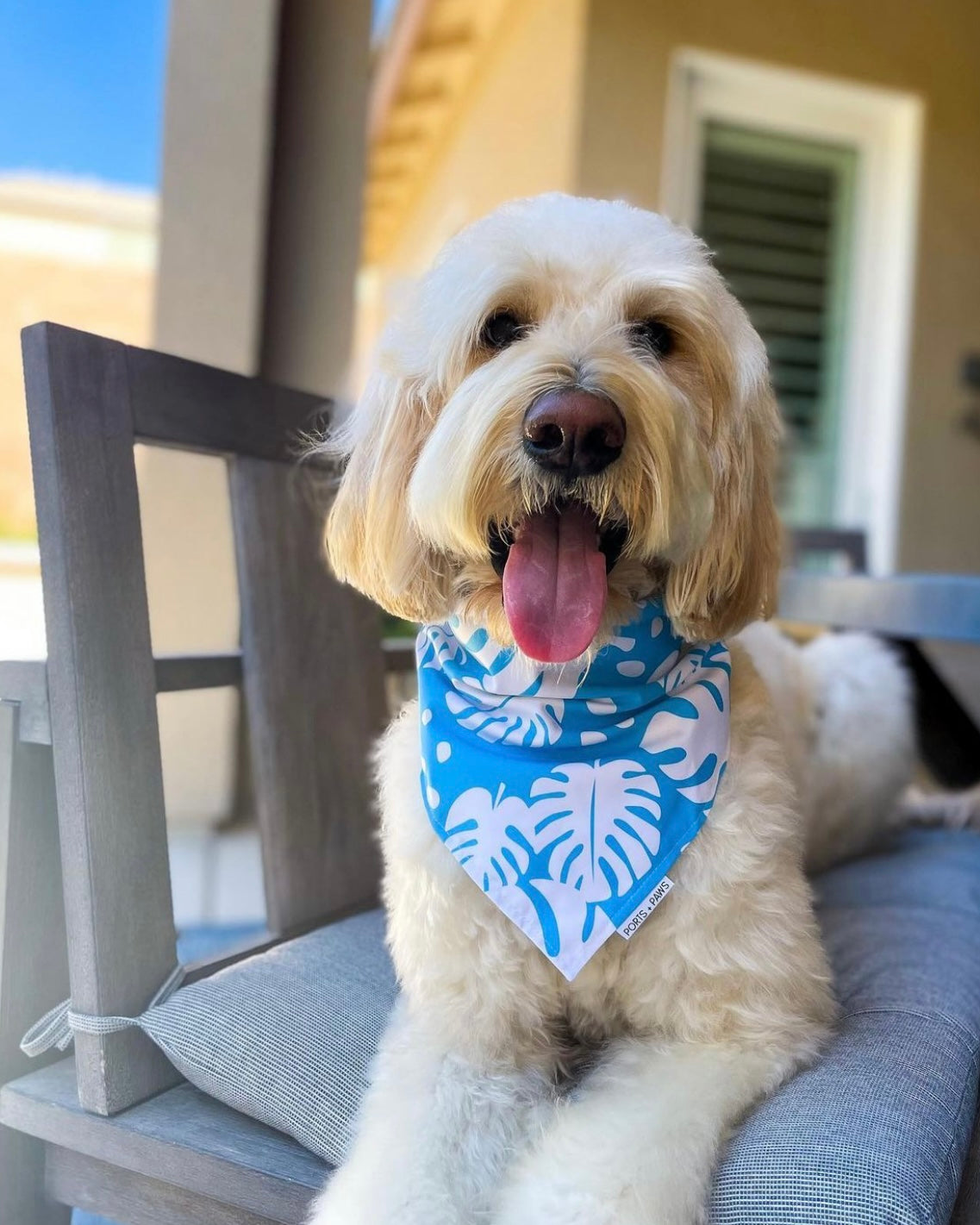 QUICK DRY BANDANA - MONSTERA SKY