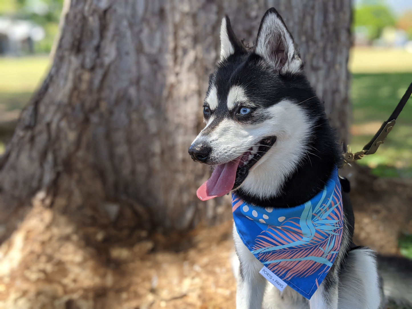 QUICK DRY BANDANA - PORTER