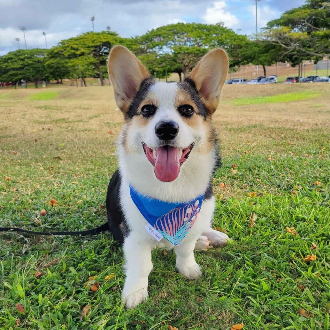 QUICK DRY BANDANA - PORTER