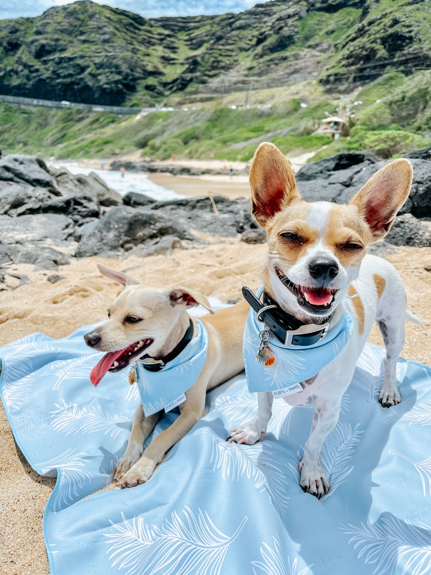 QUICK DRY BANDANA - CLOUD BLUE PALM