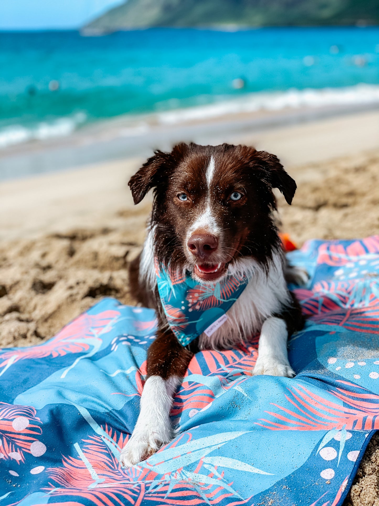 QUICK DRY BANDANA - PORTER