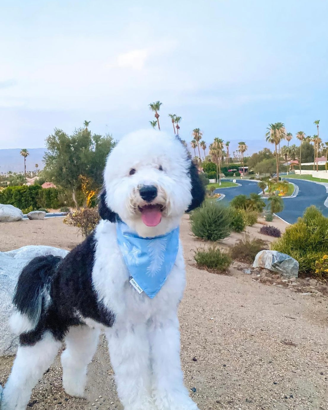 QUICK DRY BANDANA - CLOUD BLUE PALM